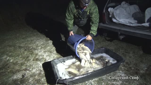 Зарыбление Водоема Карасём