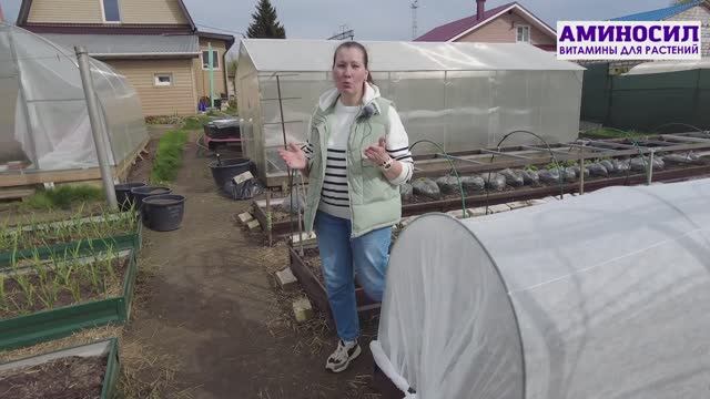 📝Вредные советы для дачников — что не стоит делать на участке в мае
