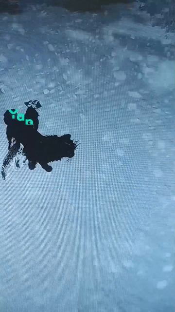 1000007049.mp4