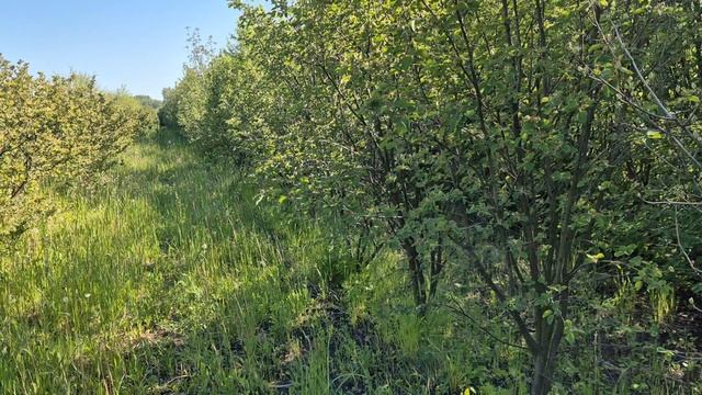 Размышления о природе и погоде после недельного перерыва