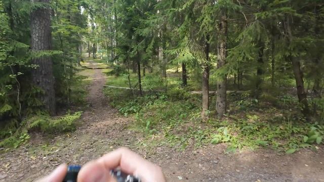Фототерапия 11. Черничная гора. Лес. Пляж.