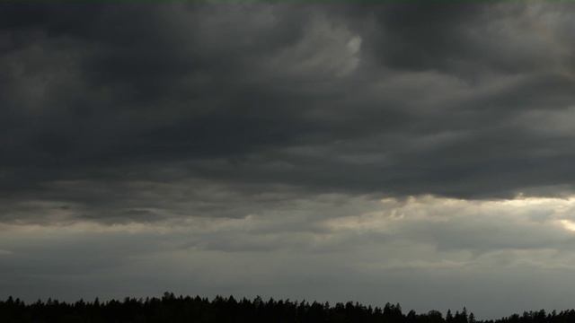 небо тучи бегут птицы поют