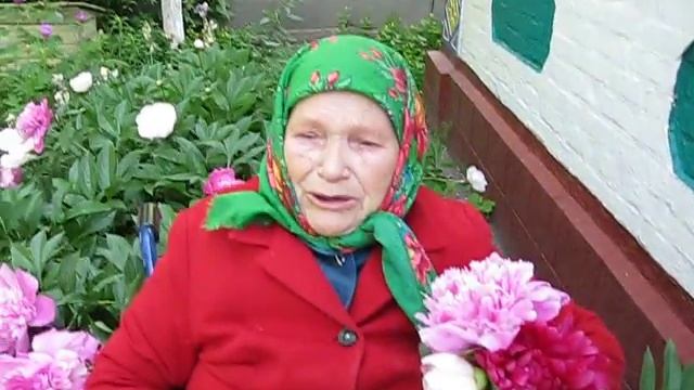 Бабуся в піонах...Вічна память!  25.08.2017р.