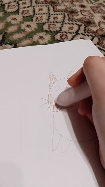 создаём красивого кота