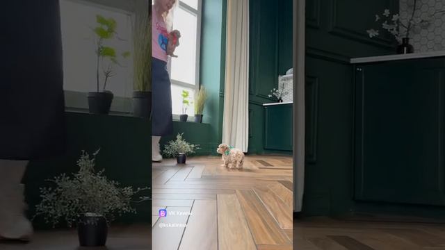 1000270870.mp4