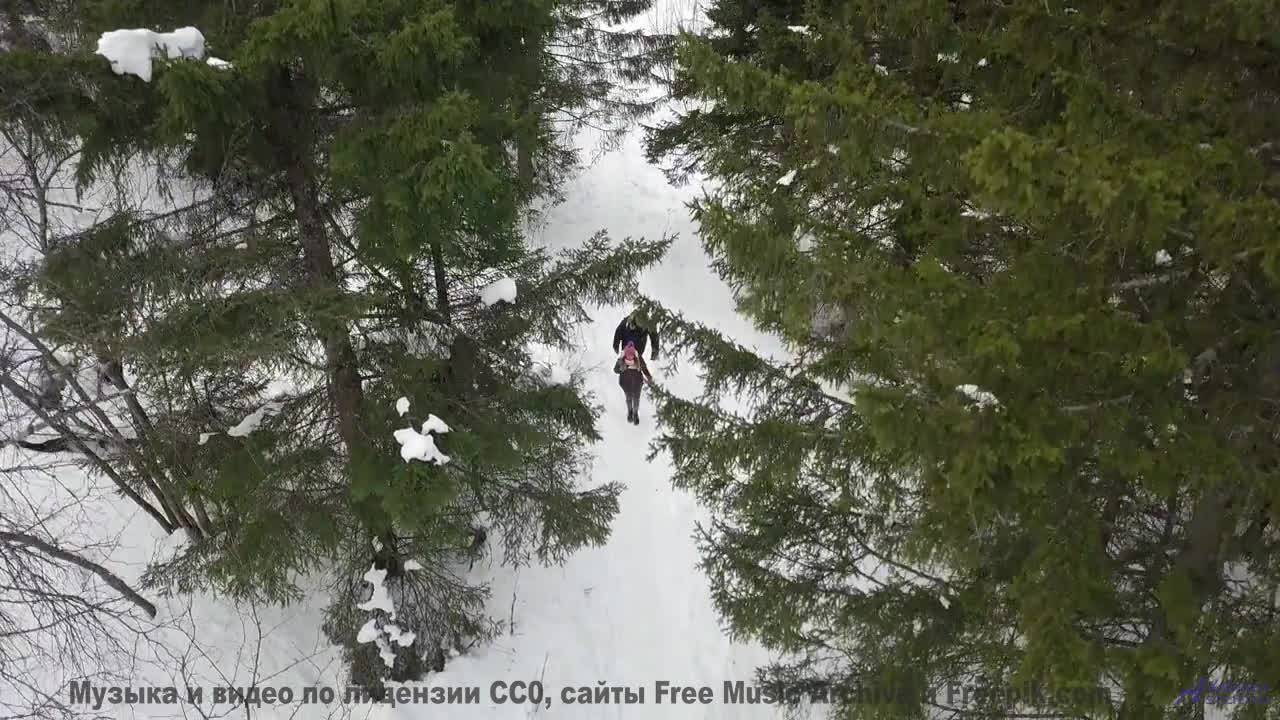 Леса становятся частью души вместе с этим треком - Crashing Mopeds -- Ryan Andersen -- MORE