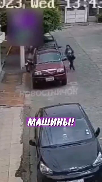 Новостничок (717)