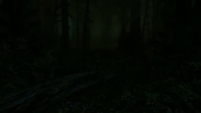 ЛЕСНЫЕ ПОХОЖДЕНИЯ***The Cursed Forest #1