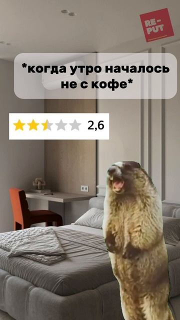 Рейтинг упал? RE-PUT поможет вернуть 5.0!