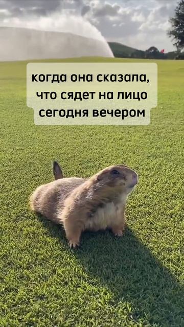 Жду😋