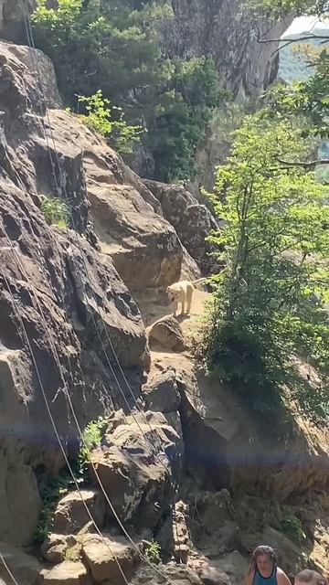 VID_20250526_221234_424.mp4