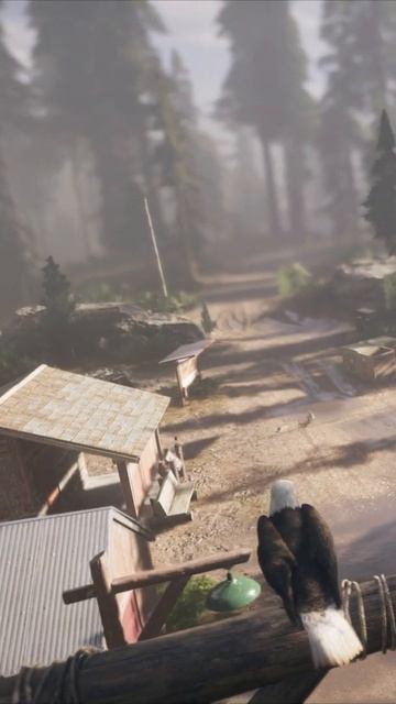#видеоигры#игры с открытым миром#игры#far cry 5#сюжетные и?