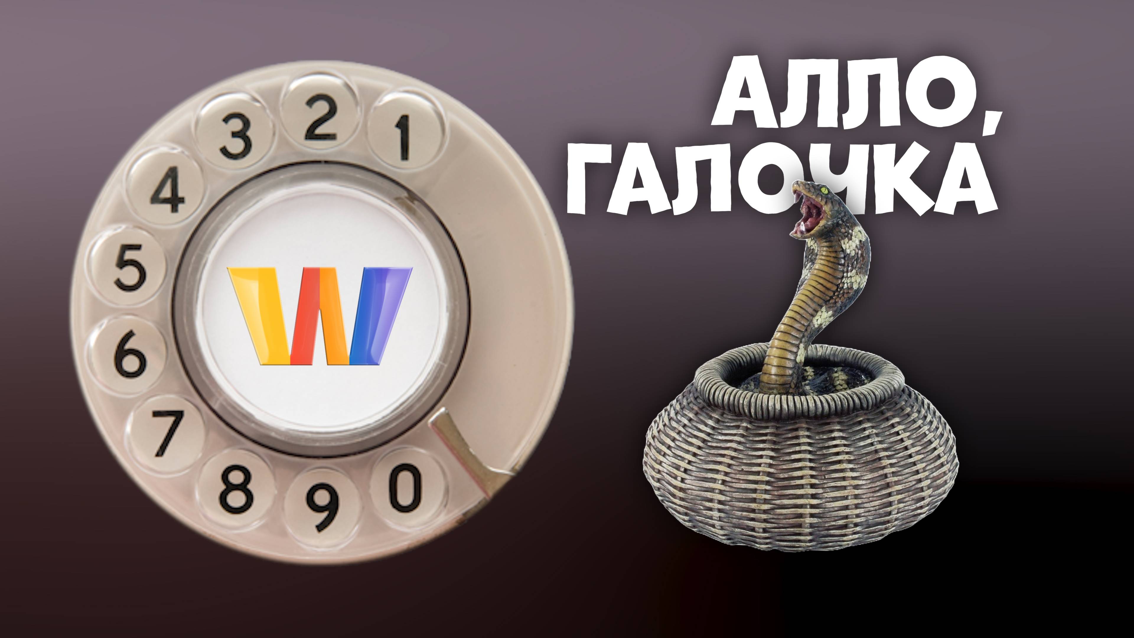 Алло, Галочка? #28 (87) третий сезон