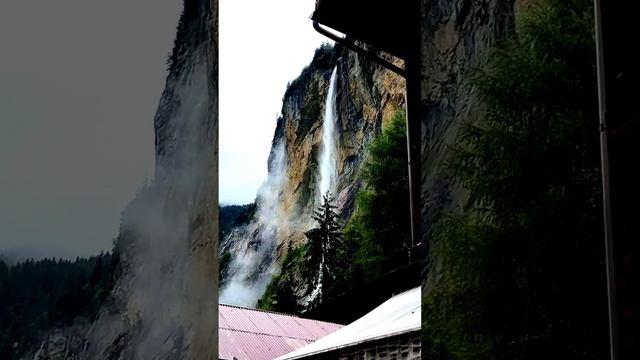 Поймано на лету