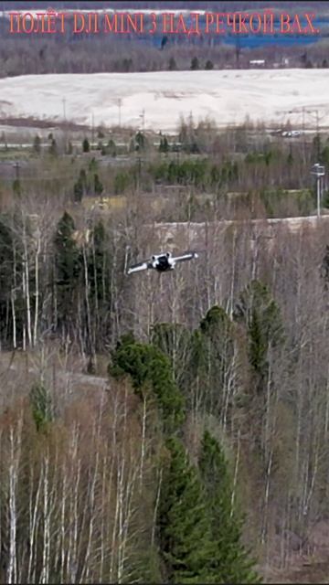 Полёт DJI MINI 3 над речкой Вах.