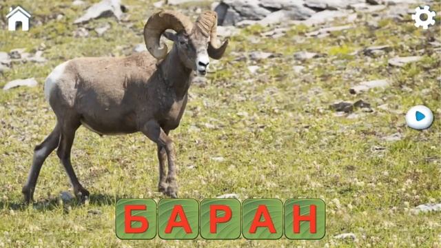 Читаем по буквам