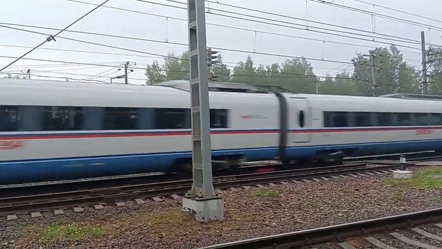 Электропоезд ЭВС1-06 Сапсан пролетает платформу Поваровка