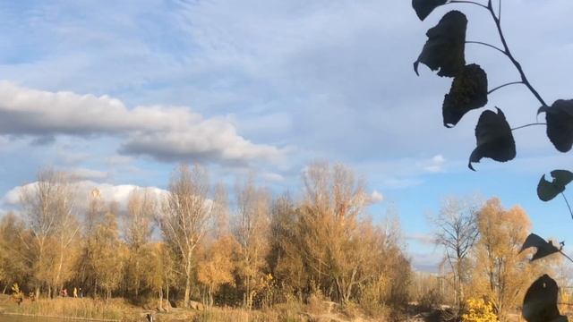 НОЯБРЬСКОЕ НЕБО…Солнечный день у озера #nature #autumn #lake #re