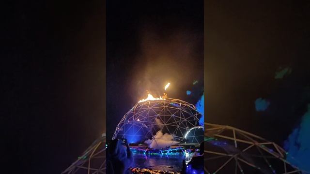 Шоу с драконом на Systo
