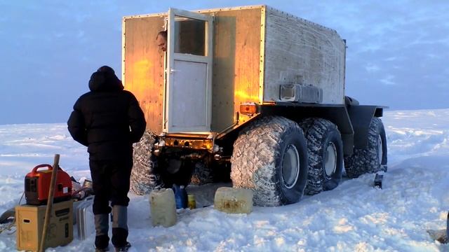 Прогревание и зарядка, после холодной ночи.