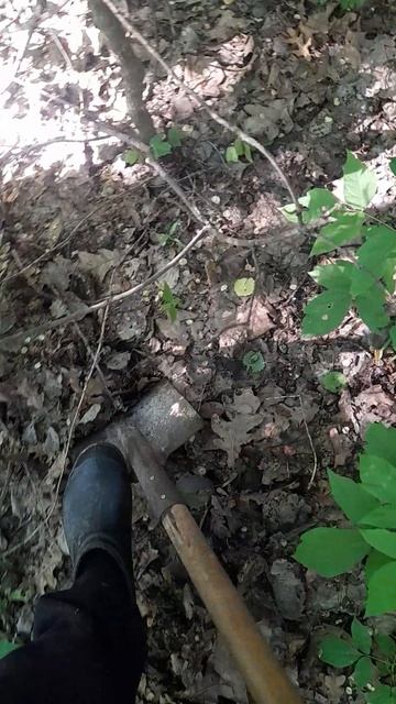1000043410.mp4Хобби.26.06.2025г.