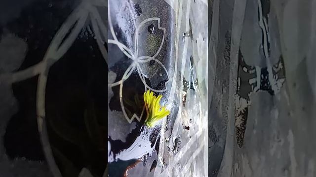 DIY?!!? рублика зелья возвращается! 2 часть