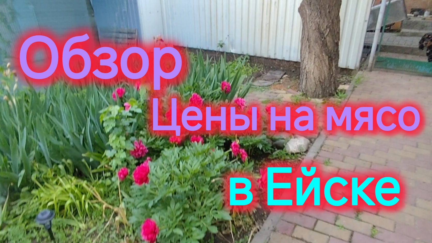 Переезд на юг/Обзор магазина "Мясорубка" в Ейске/Сажаем мяту/Большая закупка