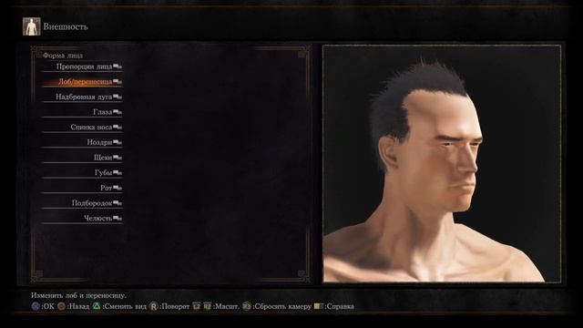 DARK SOULS III Как сделать Шварцнегера.