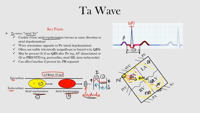 15.Ta Wave