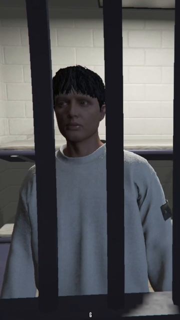 Это камера 14 айфона #полиция #приколы #айфон #gta #gta5rp   ПР