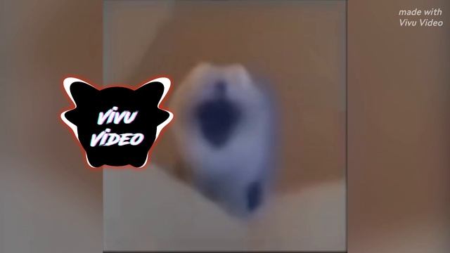 Zivert - Beverly hills speed up