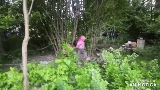 "Сказка о мертвой царевне "