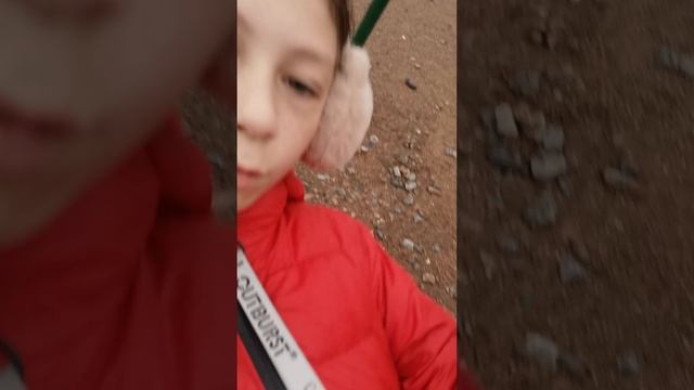 petal_20250526_160034.mp4