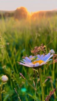 Кисловодск,закат