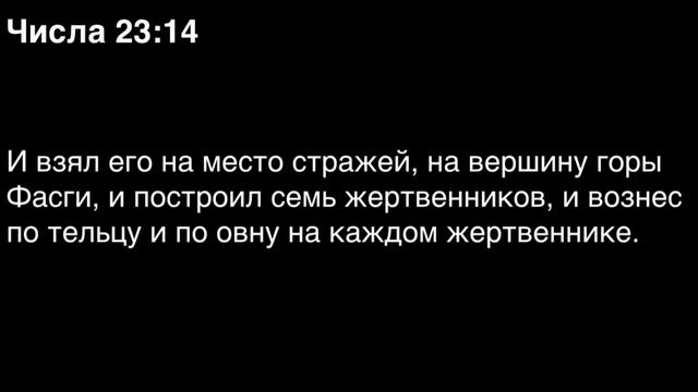 Числа, глава 23