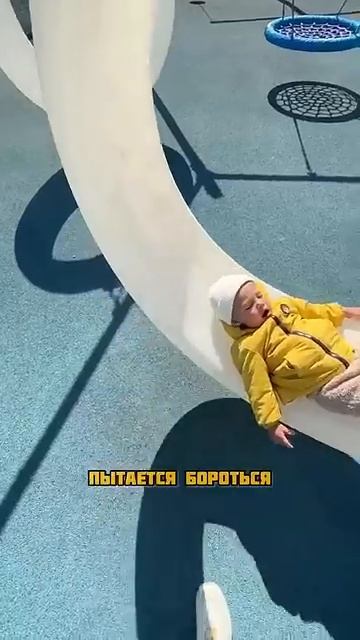 Павлов Family (523)