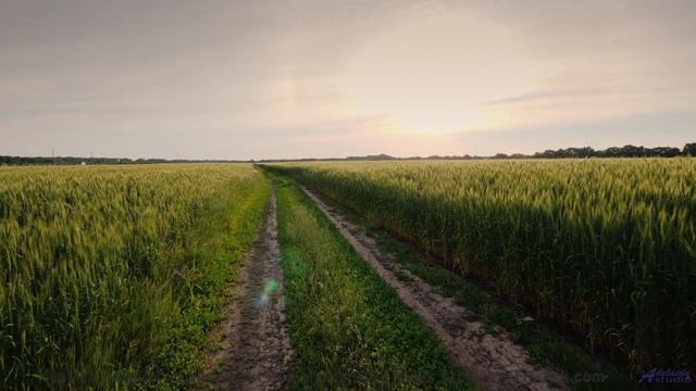 Эта музыка вдохнёт жизнь в каждый пейзаж - Jamaica Jive -- Mr.ruiZ -- Winter Haze, Summer Daze