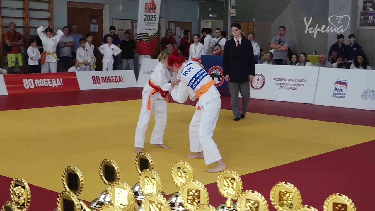 Турнир по дзюдо памяти Виктора Ивановича Доркина