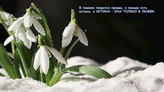 16.05.2025г. Запись прямого эфира "СЕРДЕЧНАЯ МОЛИТВА" провела Ольга Дмитриевна..