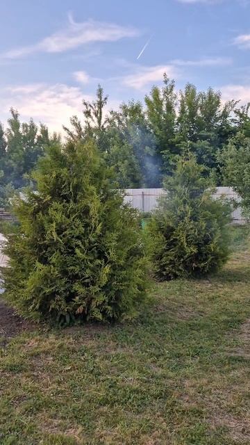 Шашлык