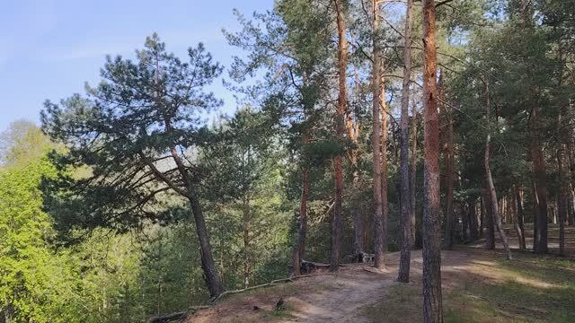 Токсичное общение в нашей жизни. 2-ое видео