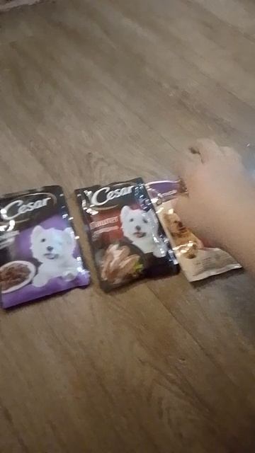 ASMR