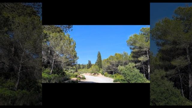 663. "Перед грозой". Майское, лесное.