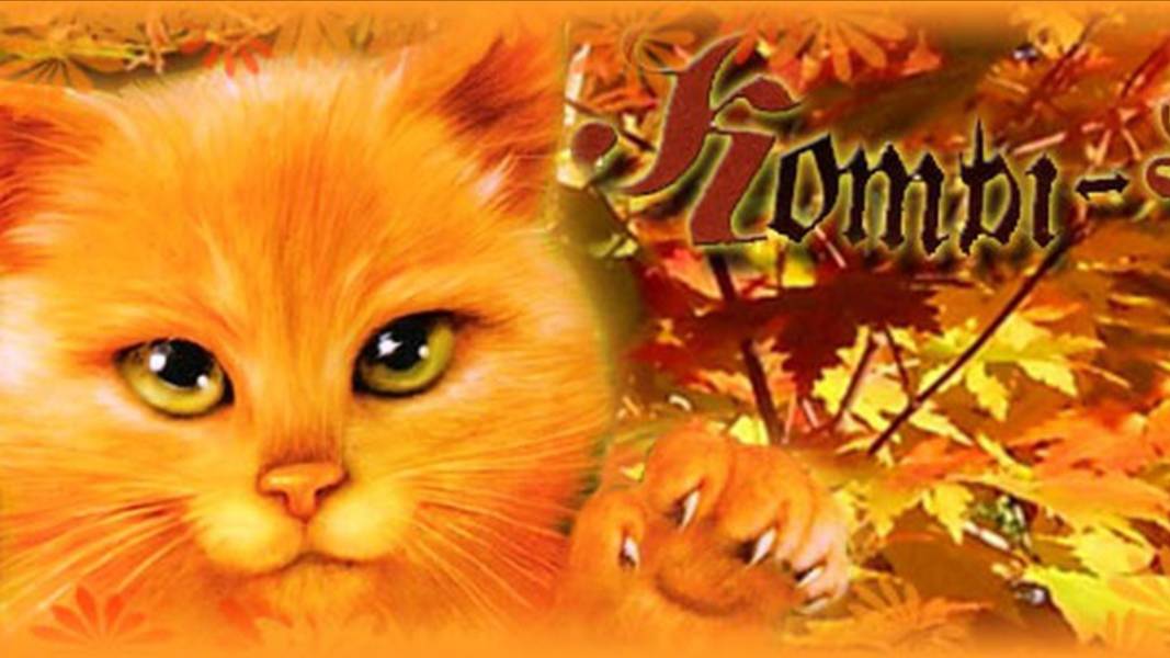 Коты воители (кленовица) Анимация