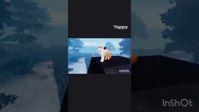 1000007048.mp4