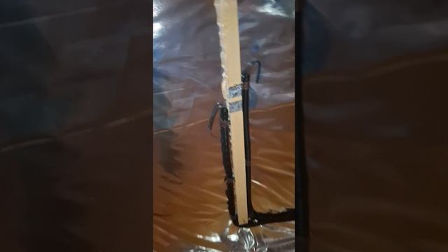 1000024595.mp4 (Собака смотрит на электроснабжение нового дома А-фрейм)