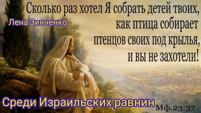Среди Израильских равнин / Лена Зинченко