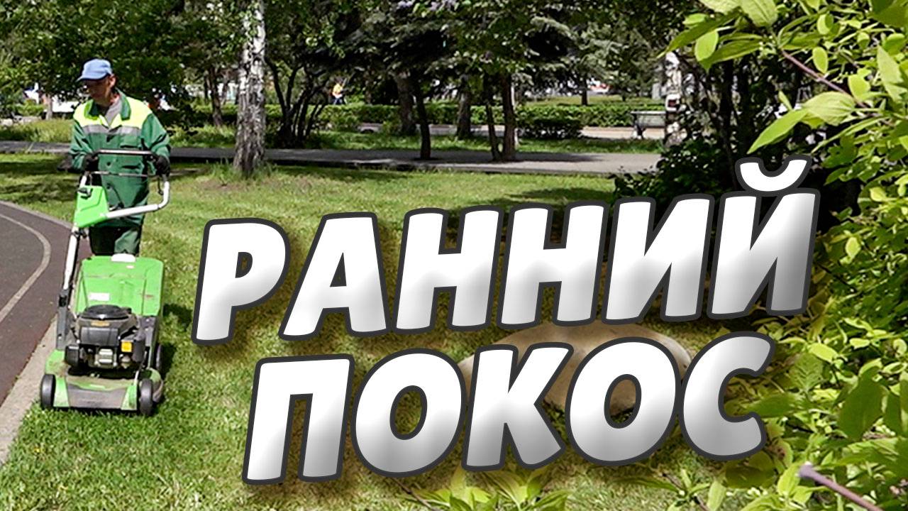 В Омске сезон покоса травы стартовал раньше обычного