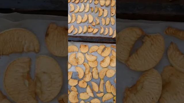 яблочные чипсы на зиму