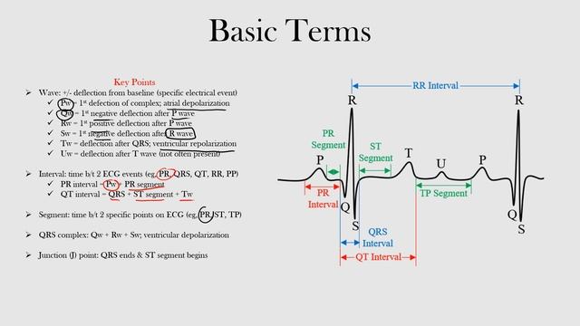 12.Basic Terms